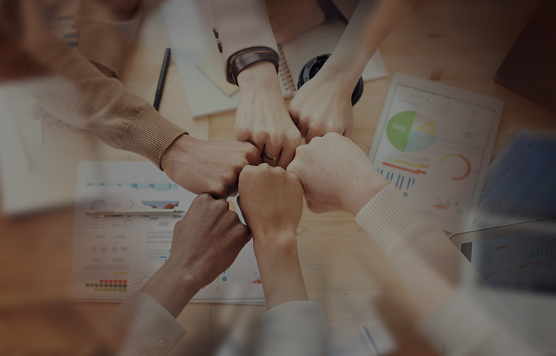 专业的团队与服务