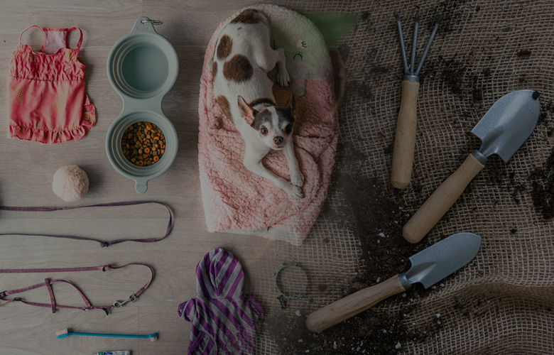 多元化的产品组合