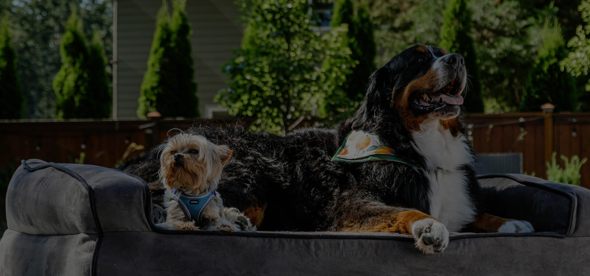 <span>泓景汇</span>贸易（常州）有限公司